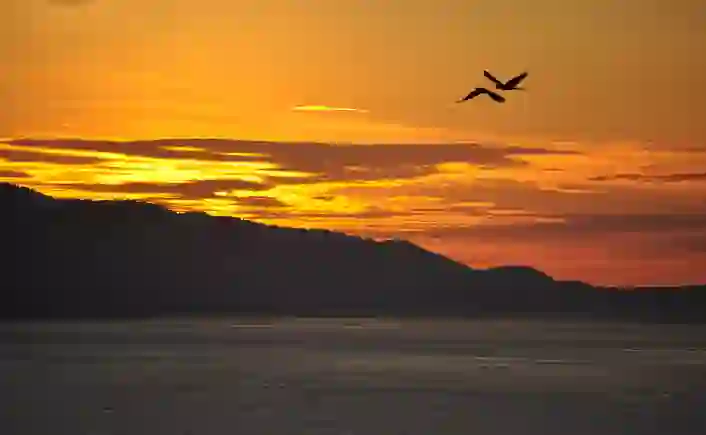 Good Morning at early morning of Best tips to wake up at early morning